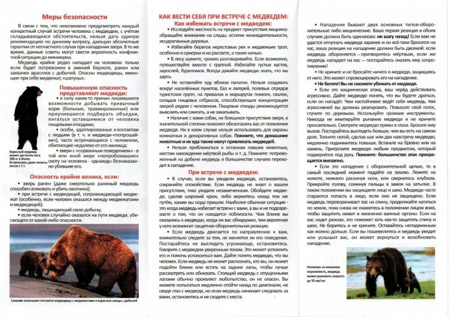 Памятка "Как вести себя при встрече с медведем"
